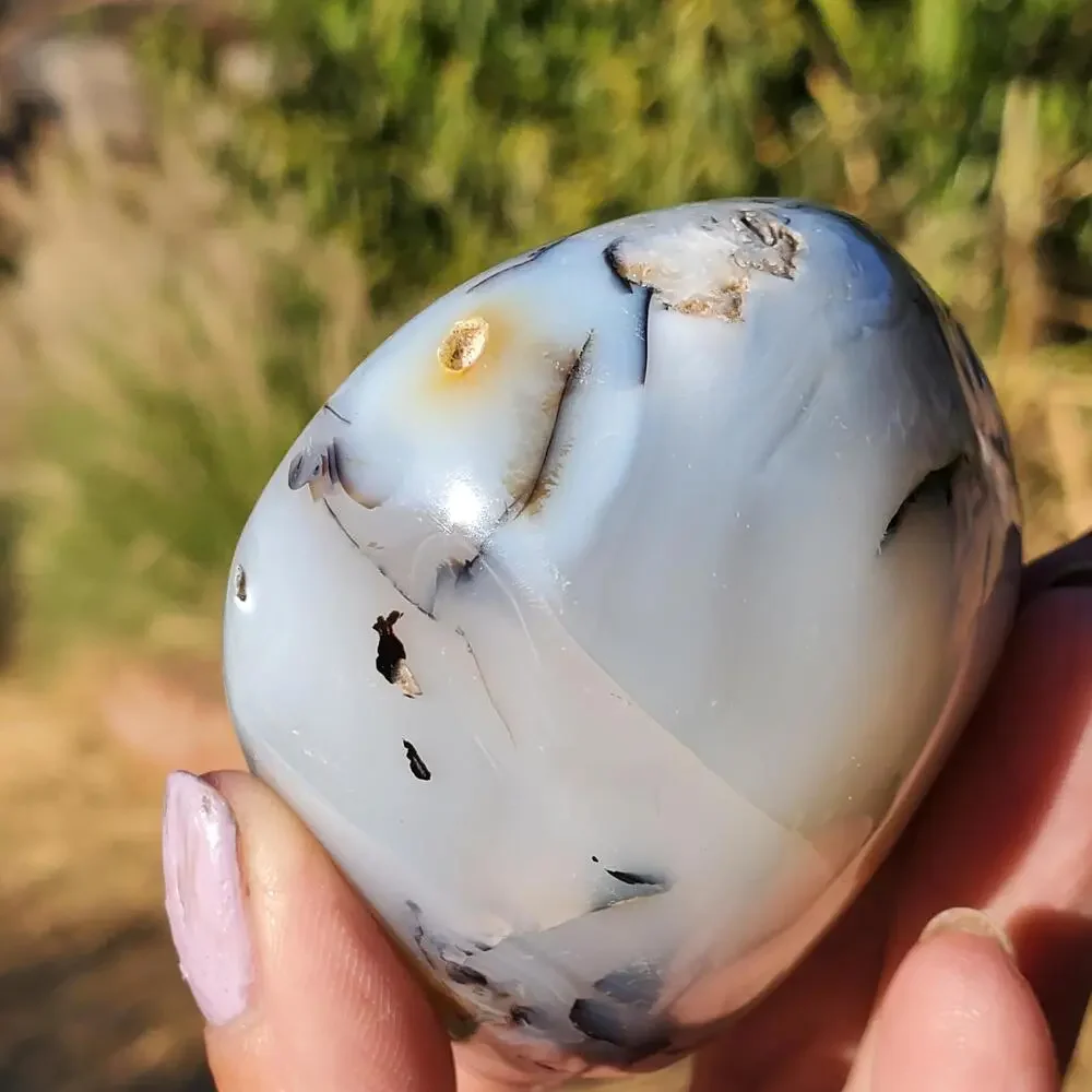 Dendritic Agate Multi-Color Pattern Translucent Freeform Crystal 258 Grams
